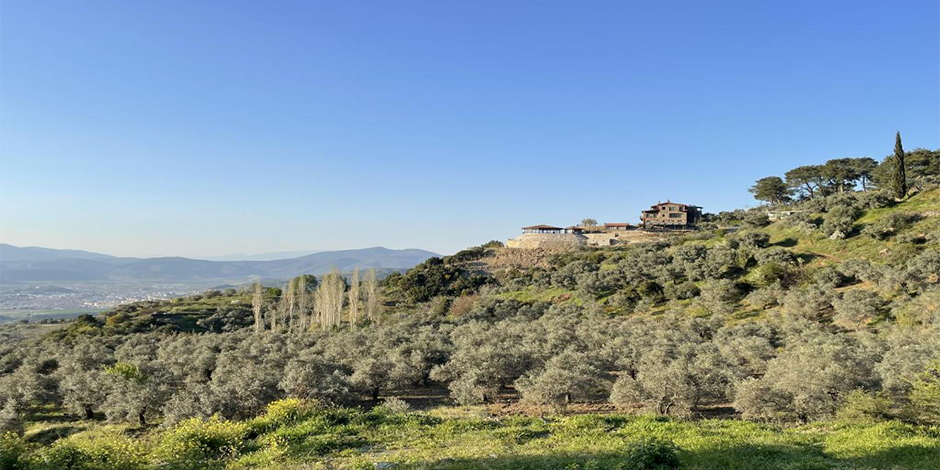 Naturausflug in Izmir: Mietwagen-Guide für Natur-Urlaub mit Eurauto.de